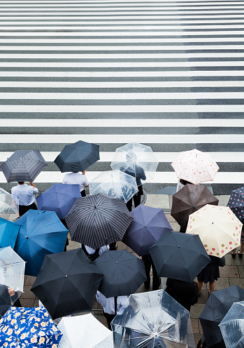 tokyo rainy commuters waiting at a stoplight