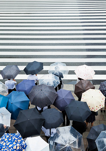 chuvoso trabalhadores em tóquio - umbrella parasol rain rush hour imagens e fotografias de stock
