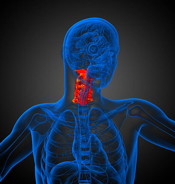 istock 3d render medical illustration of the cervical spine 479170210