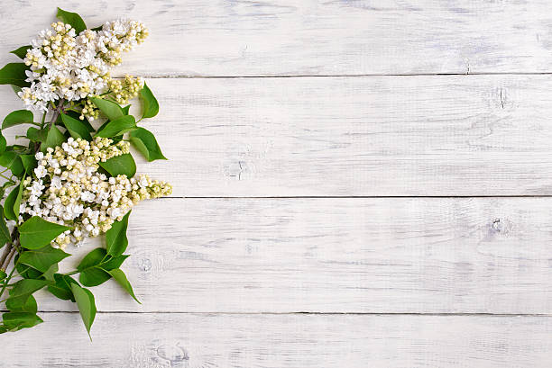 istock The beautiful lilac on a wooden background 479174882