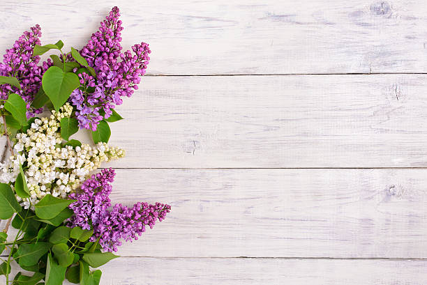 istock The beautiful lilac on a wooden background 479174884