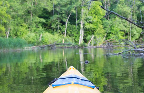 istock Kayaking by Krutynia river in Poland 479178414