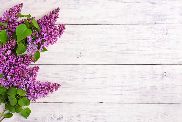istock The beautiful lilac on a wooden background 479178634