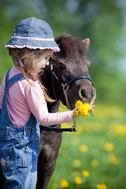 istock Child and small horse in field in spring 479181239