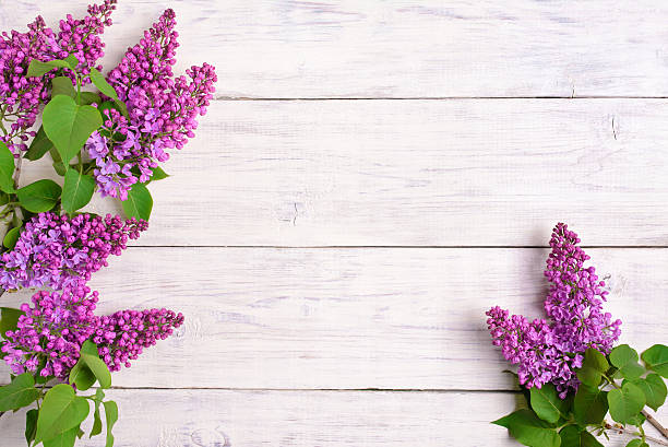 istock The beautiful lilac on a wooden background 479182462