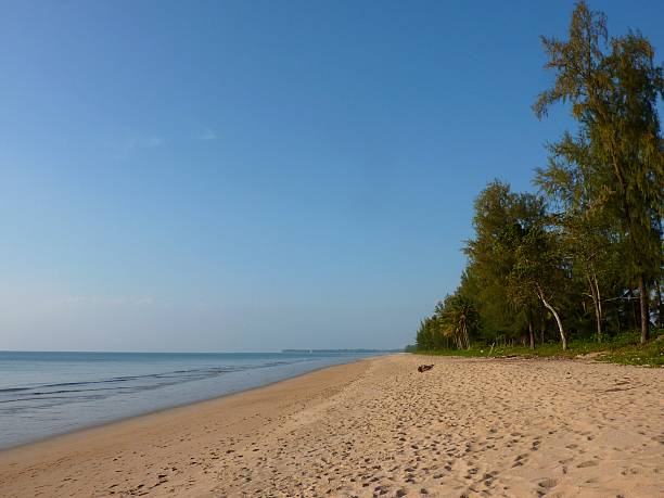 istock Khao Lak, Thailand 479182711