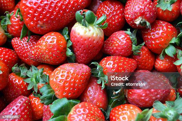 Strawberries Stock Photo - Download Image Now - Abundance, Agriculture, Close-up