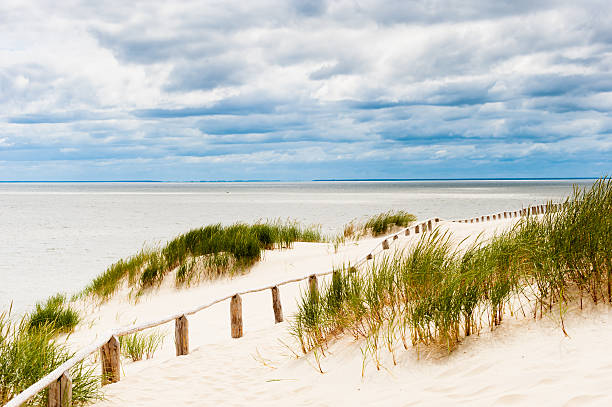 istock Fence on dune at seaside with stormy clouds visible. 479184909