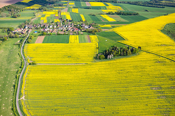 istock Aerial view on the city 479185330