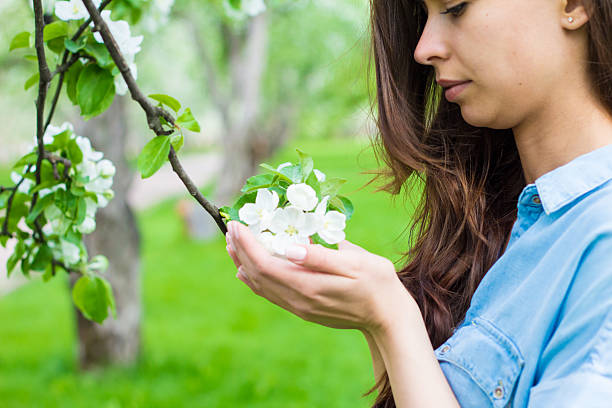 junge frau hält einen apfel mit blumen - apple blossom single flower spring blossom stock-fotos und bilder