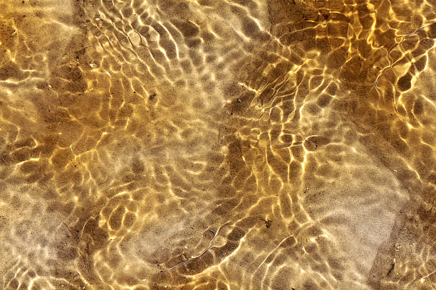 istock Water in the shallows 479187696