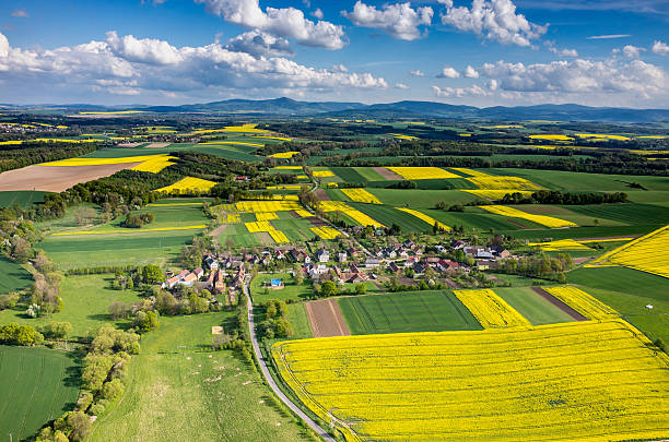 istock Aerial view on the city 479187754