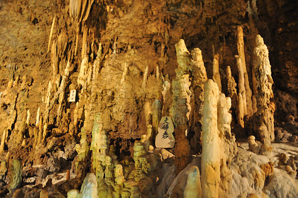 Stalactites in Gyokusendo Cave, 1cm per 30 years, Okinawa World,Japan