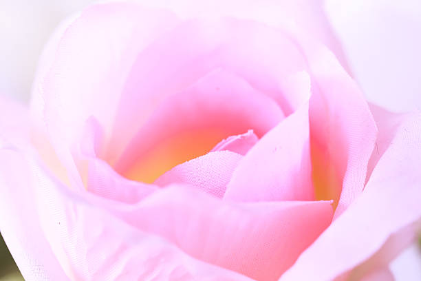 istock close up rose  flowers made from fabric 479187908