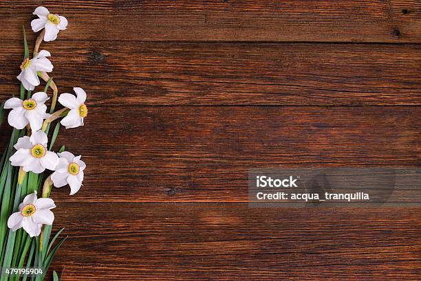 Daffodils On Wooden Background Copy Space Stock Photo - Download Image Now - 2015, Beauty, Botany