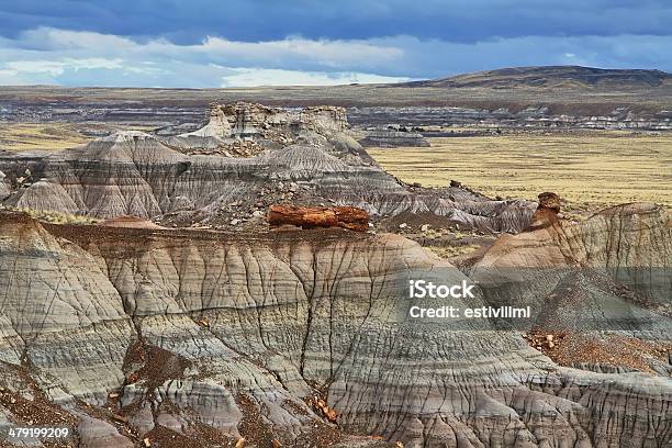 Painted Desert Petrified Forest National Park Stock Photo - Download Image Now - Arizona, Beauty In Nature, Canyon