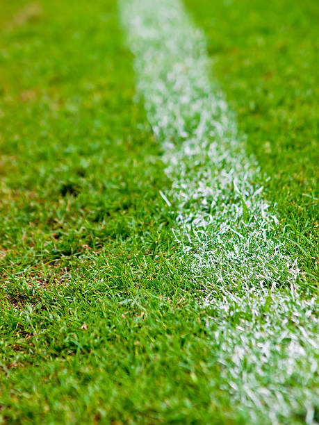istock White stripe on the green soccer field 479199333