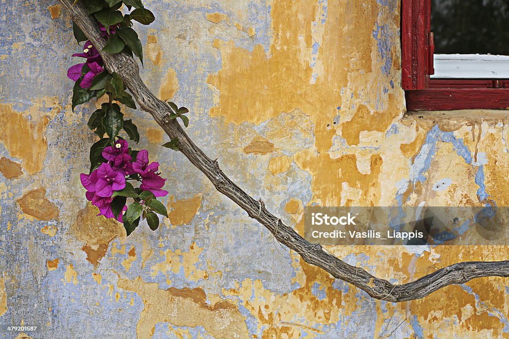 Parte de uma antiga parede, da janela e uma planta - Foto de stock de Amarelo royalty-free