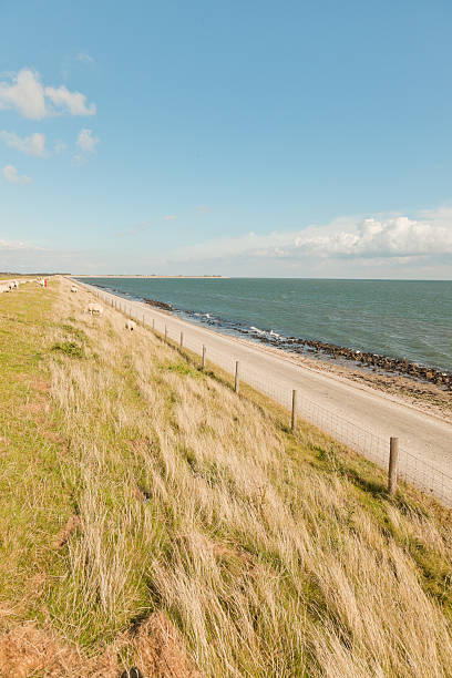 istock Dutch wide landscape with dike and blue cloudy sky. Waddenzee. 479202191
