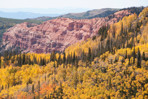 Autumn Colors and Red Rocks Cedar Breaks National Monument Utah