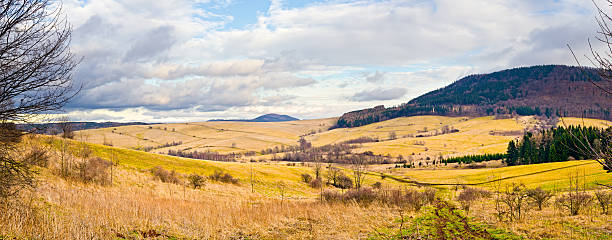 istock Landscape with autumnal meadows and hills 479205527
