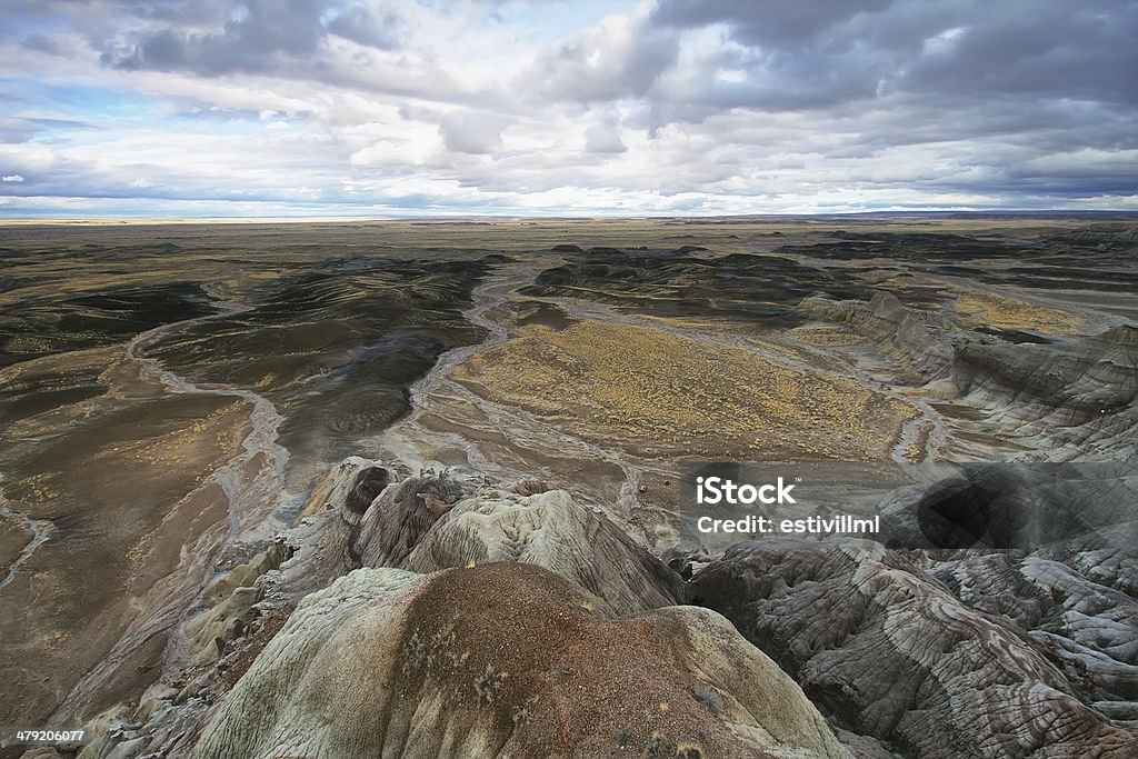 Blue Mesa, Petrified Forest National Park Blue Mesa, Petrified Forest National Park, Arizona, USA Arizona Stock Photo