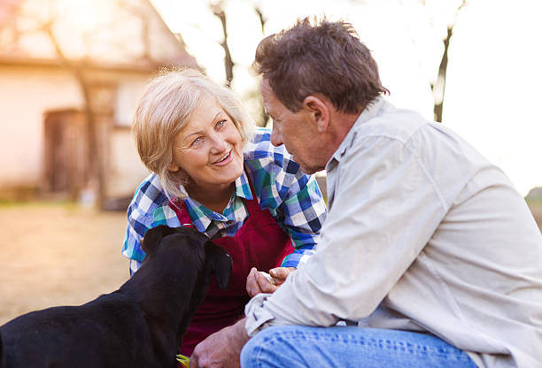 istock Senior couple planting seedlings 479206598