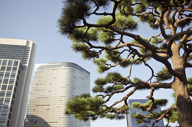 high-rise building  in japanhigh-rise building  in japan