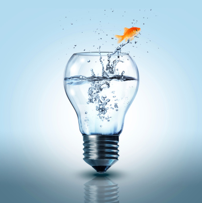goldfish jumping out electric bulb