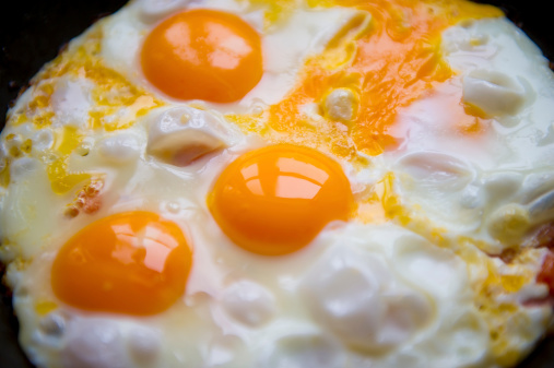 Close-up of eggs, scrambled.