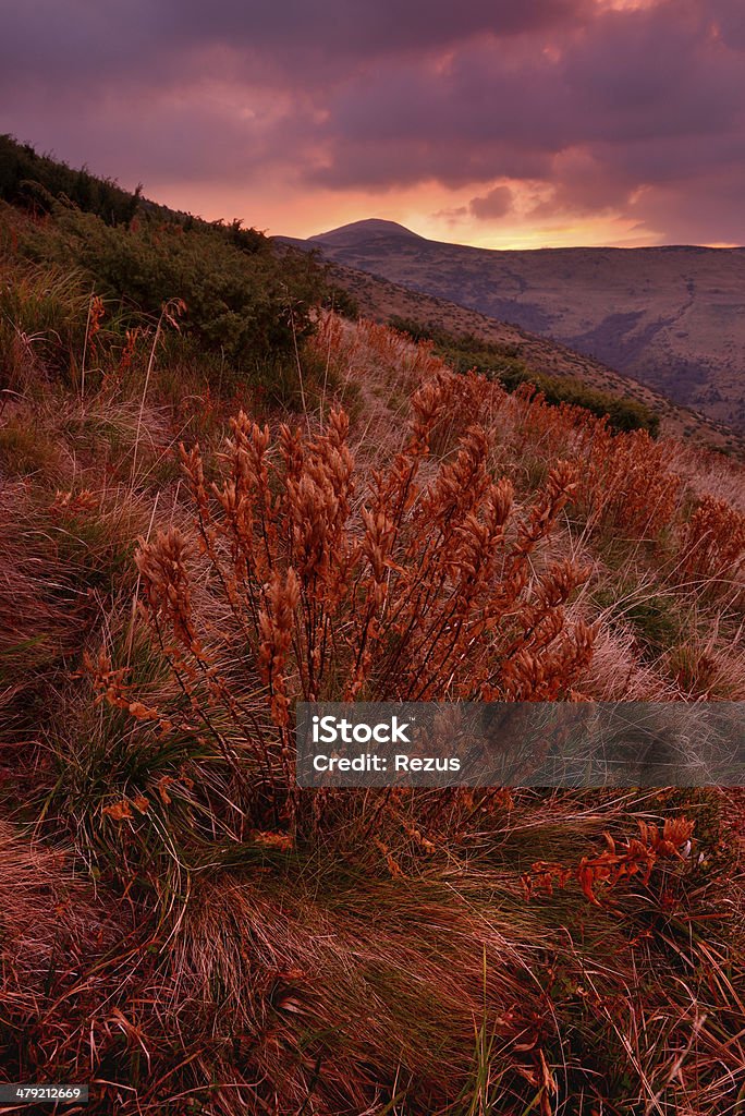 Pink mountain sunrise Pink sunrise in Carpathian mountains, Ukraine Autumn Stock Photo