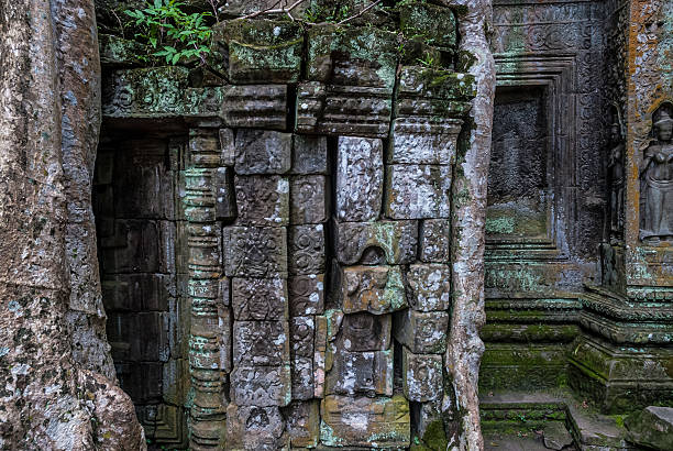 ta prohm - angkor wat prehistoric art apsara angkor stock-fotos und bilder