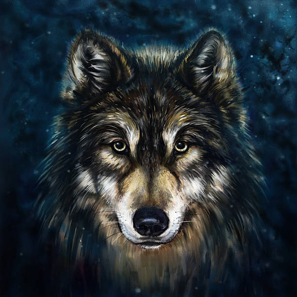 wolf-head.jpg?s=170667a&w=0&k=