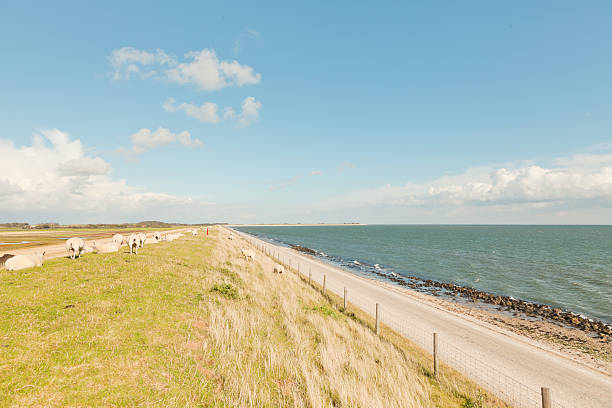 istock Dutch wide landscape with dike and blue cloudy sky. Waddenzee. 479216267