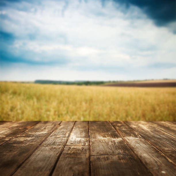 istock Autumn background. Wooden floor and defocused landscape on background 479216478