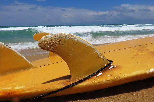 istock Yellow surfboard at tropical beach on Bahamas 479217132