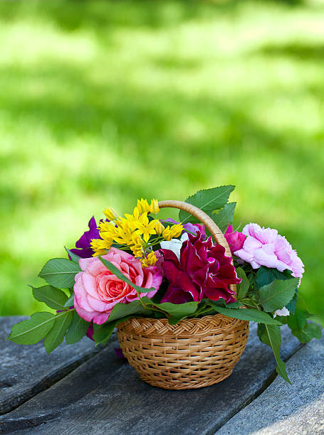 istock roses in basket on garden table 479221071