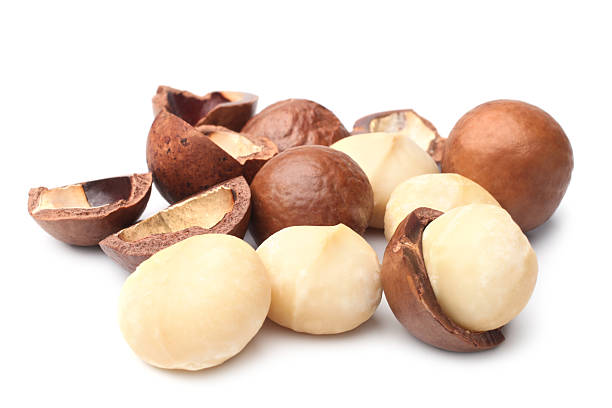 nuez de macadamia - unshelled fotografías e imágenes de stock
