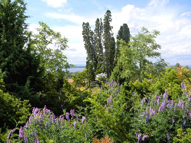 istock Rural Swedish Garden 479228152
