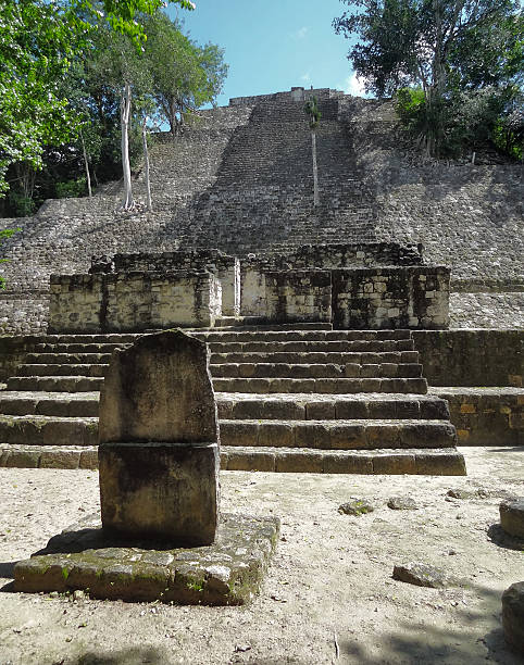 istock temple detail at Calakmul 479228453