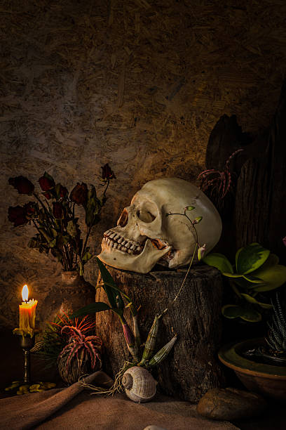 istock Still life with a human skull with desert plants, cactus. 479232445