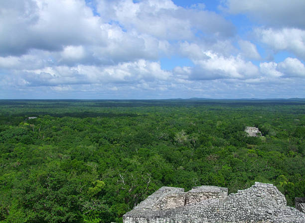 istock temple ruins at Calakmul 479232501