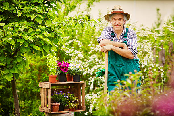 istock Garden spade gardener break 479232610