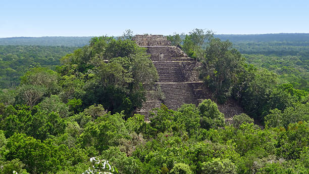 istock overgrown temple at Calakmul 479232773