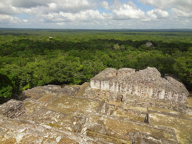 istock temple ruin at Calakmul 479232779