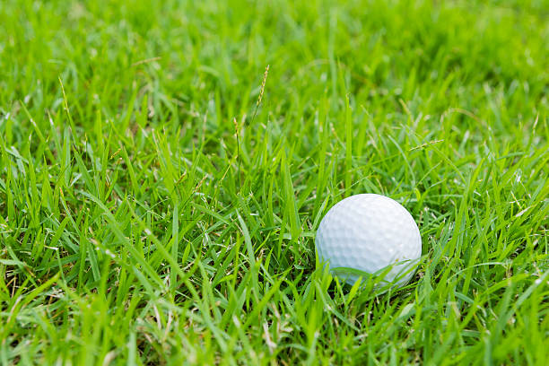 istock golf ball in the rough 479233119