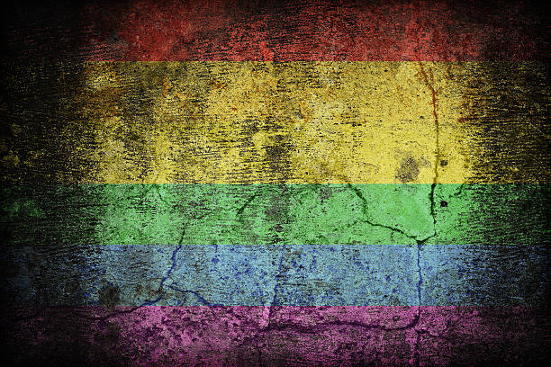 istock Rainbow flag or Gay on dirty old concrete wall texture 479233510