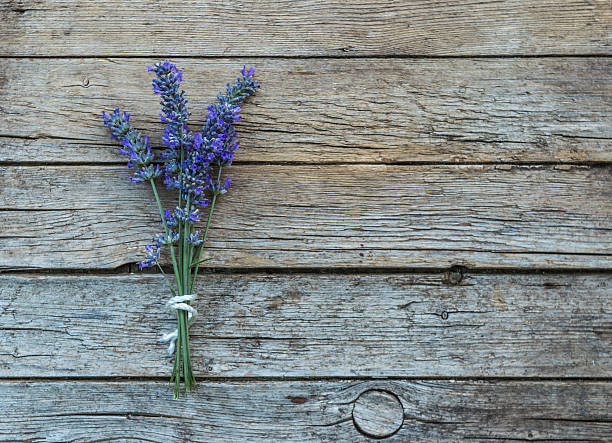 istock Lavander on wooden background 479233874