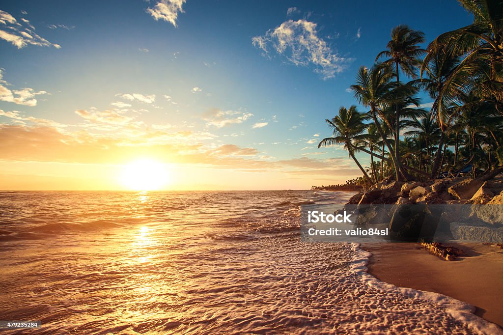 Palm trees on the tropical beach Palm trees on the tropical beach, sunrise shot Sunrise - Dawn Stock Photo