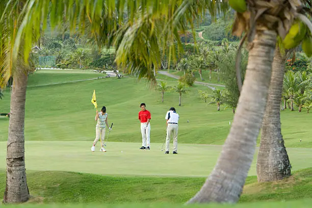 Japanese man-and-woman group playing golf